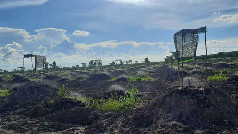 CHỊ OANH CHỊ OANH